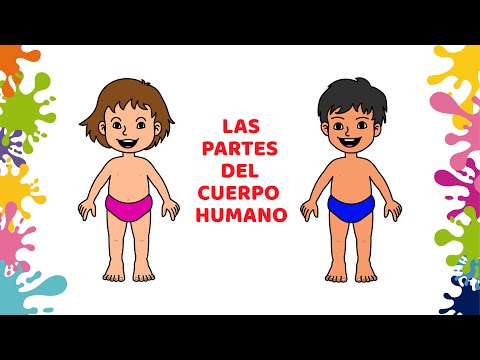 Cuerpo humano 